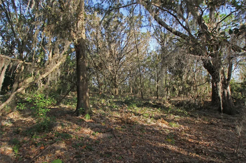0 PATRICIA DRIVE Bartow, FL 33830
