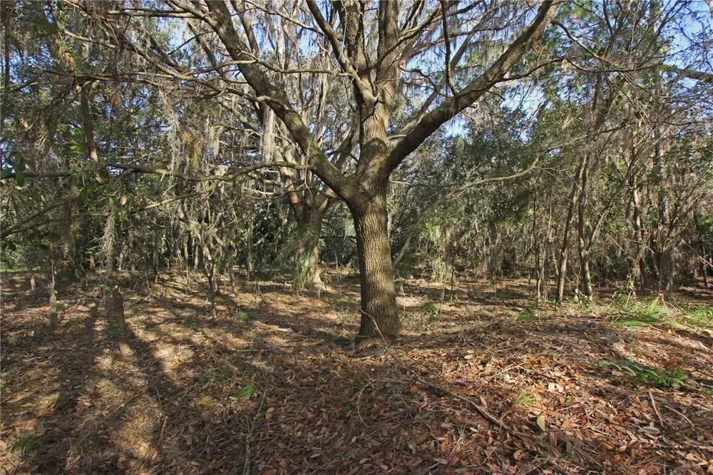 0 PATRICIA DRIVE Bartow, FL 33830