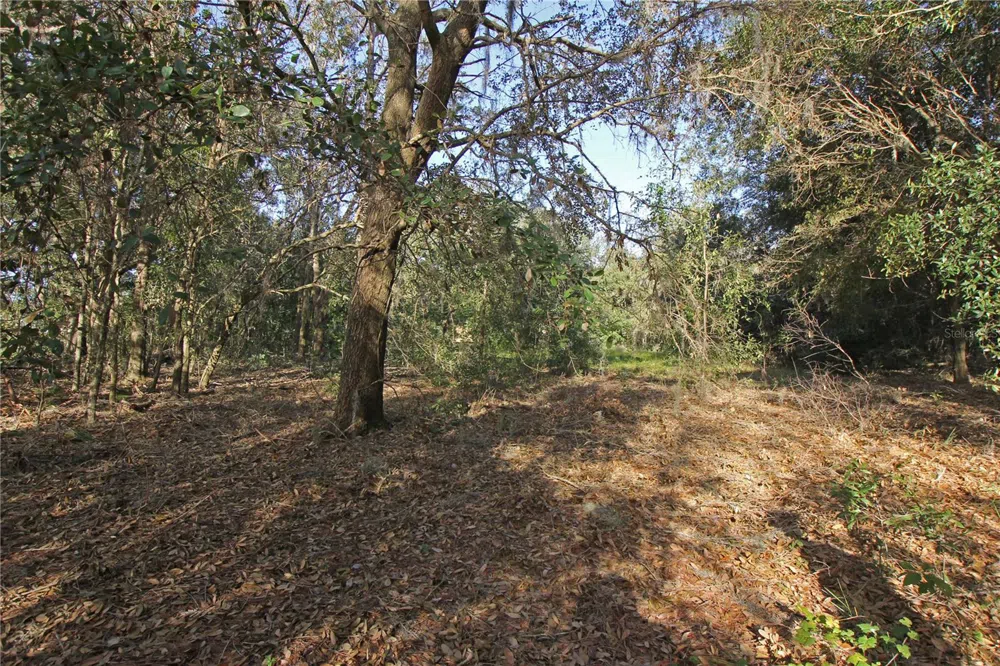 0 PATRICIA DRIVE Bartow, FL 33830