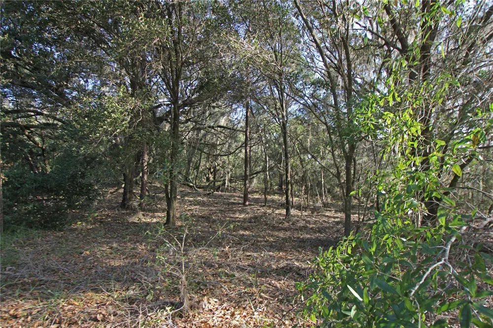 0 PATRICIA DRIVE Bartow, FL 33830