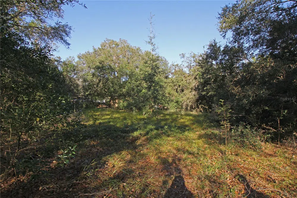 0 PATRICIA DRIVE Bartow, FL 33830