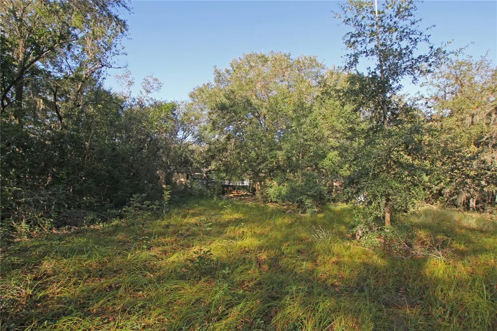 0 PATRICIA DRIVE Bartow, FL 33830
