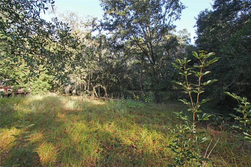 0 PATRICIA DRIVE Bartow, FL 33830