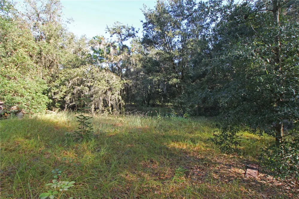 0 PATRICIA DRIVE Bartow, FL 33830