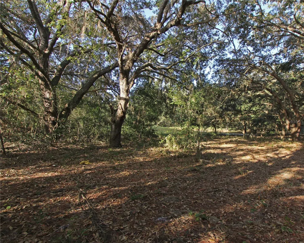 0 PATRICIA DRIVE Bartow, FL 33830