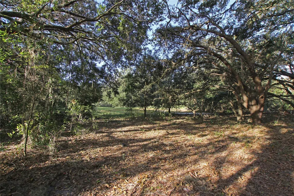 0 PATRICIA DRIVE Bartow, FL 33830