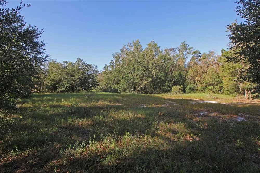 0 PATRICIA DRIVE Bartow, FL 33830