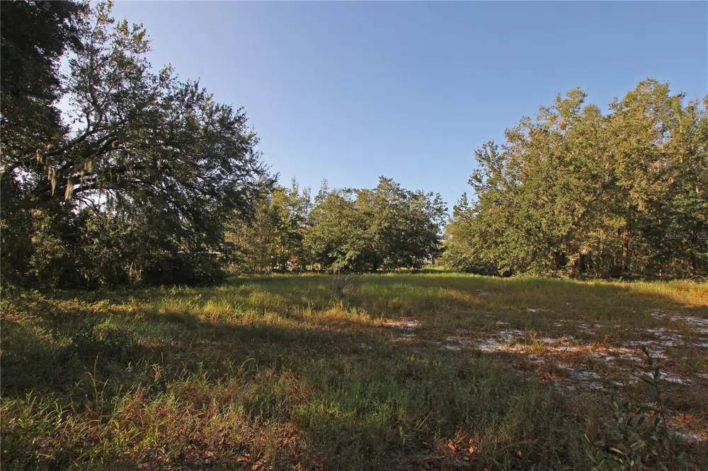 0 PATRICIA DRIVE Bartow, FL 33830