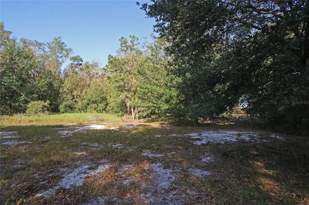 0 PATRICIA DRIVE Bartow, FL 33830