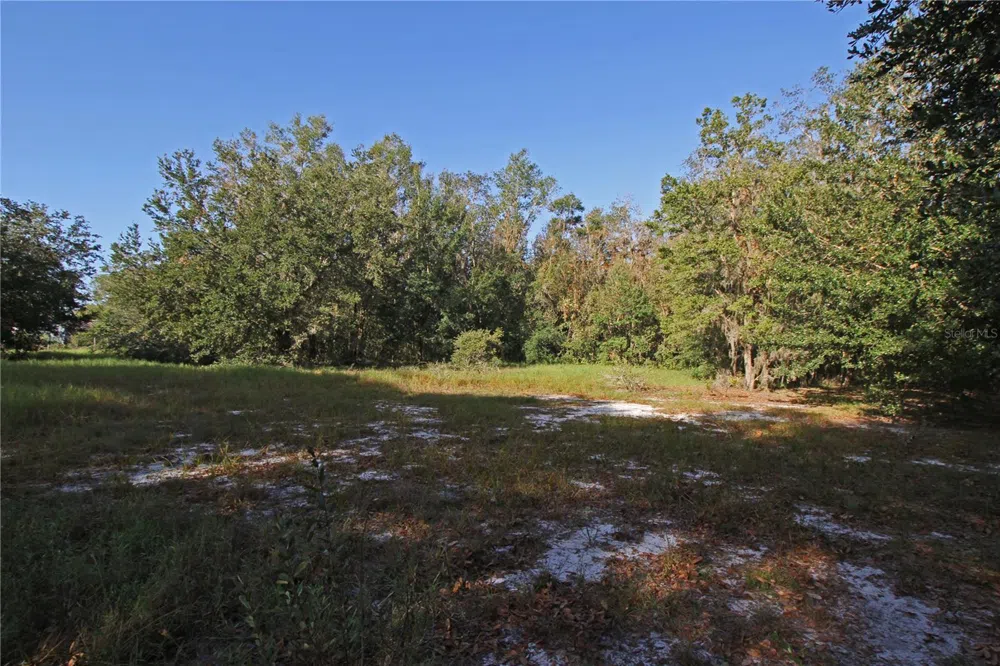 0 PATRICIA DRIVE Bartow, FL 33830