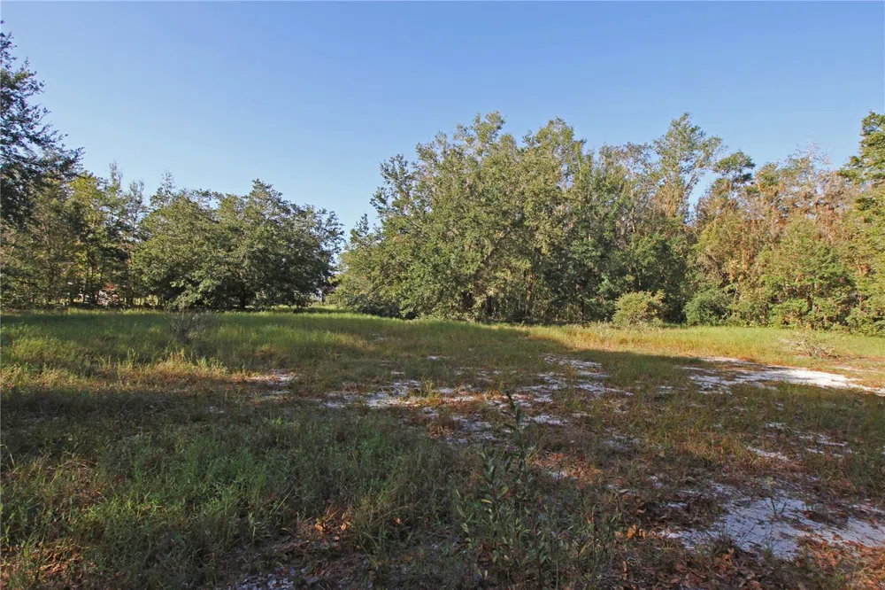 0 PATRICIA DRIVE Bartow, FL 33830