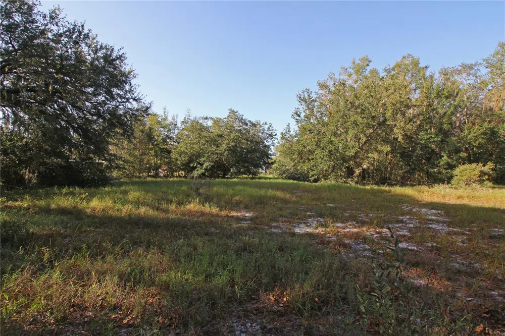 0 PATRICIA DRIVE Bartow, FL 33830