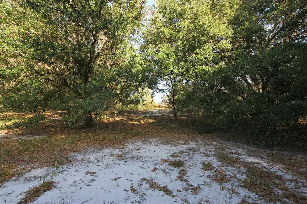 0 PATRICIA DRIVE Bartow, FL 33830