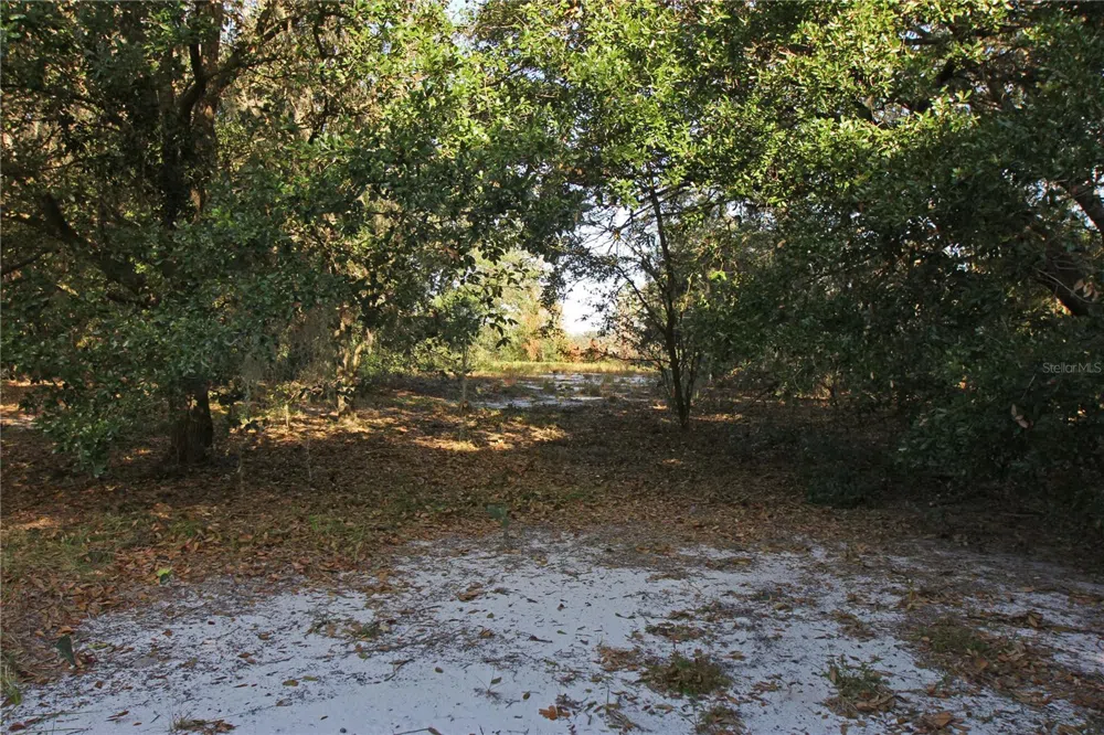 0 PATRICIA DRIVE Bartow, FL 33830