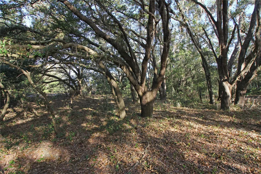 0 PATRICIA DRIVE Bartow, FL 33830
