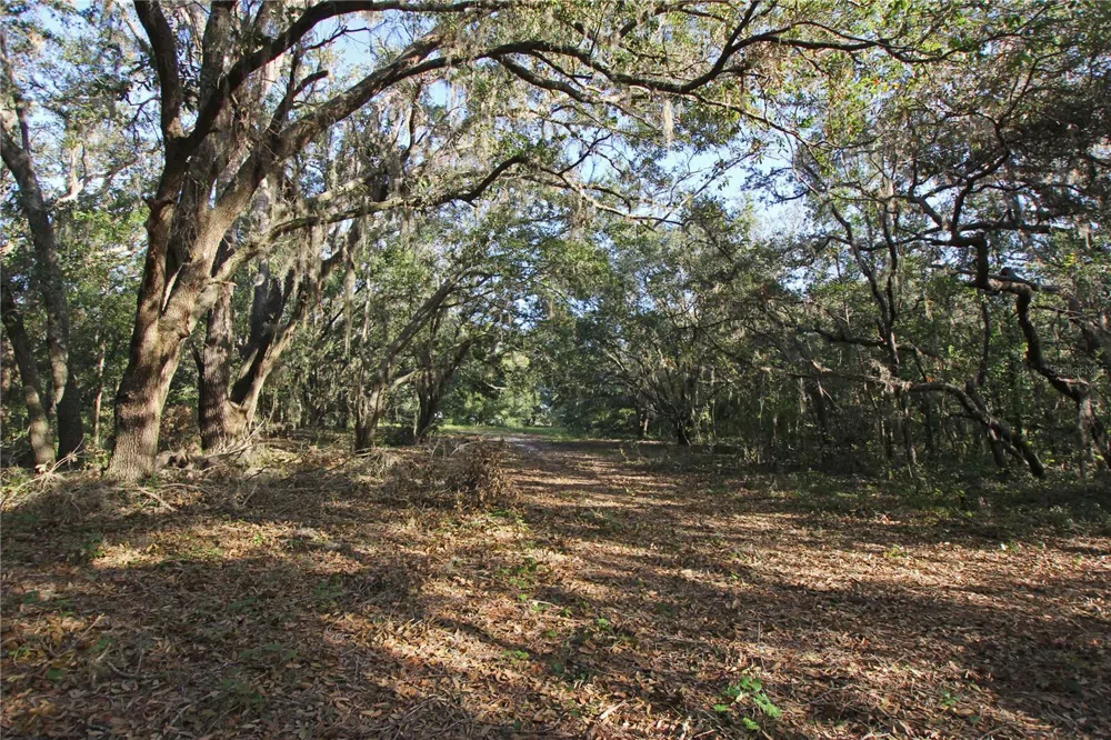 0 PATRICIA DRIVE Bartow, FL 33830