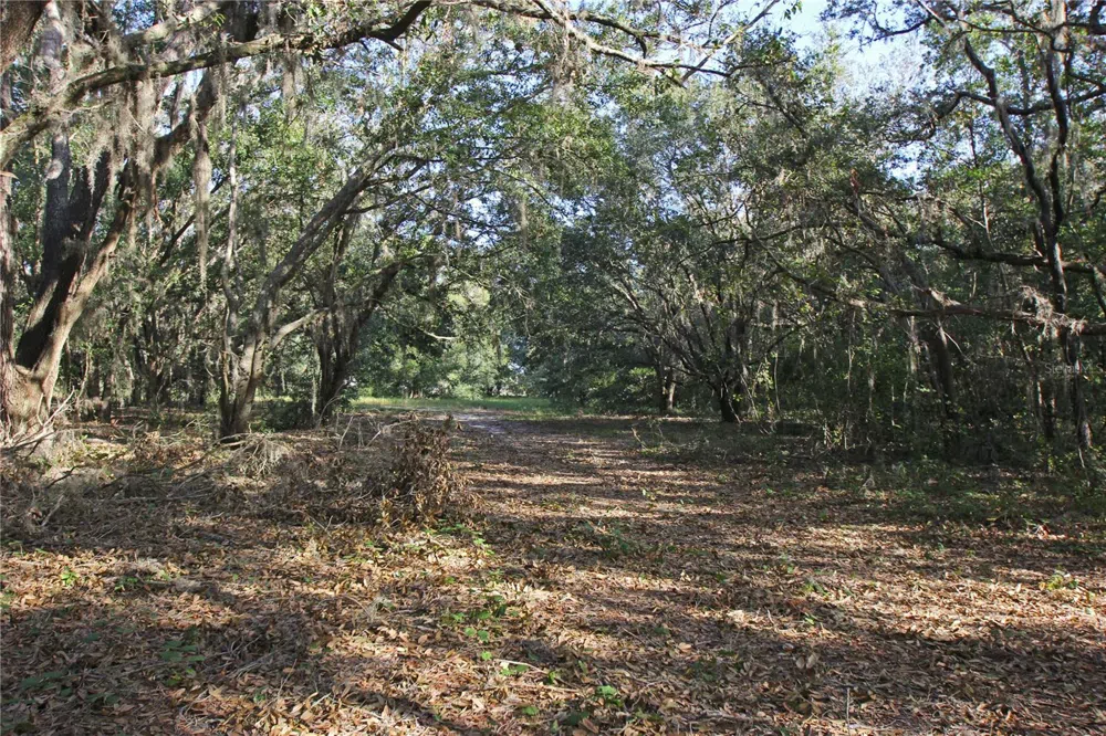 0 PATRICIA DRIVE Bartow, FL 33830
