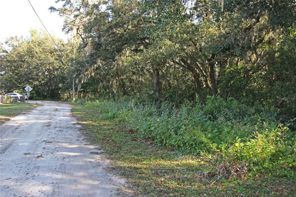 0 PATRICIA DRIVE Bartow, FL 33830
