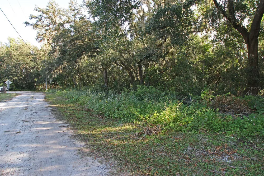 0 PATRICIA DRIVE Bartow, FL 33830