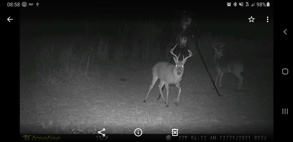 County Road 226 Rising Star, TX 76471
