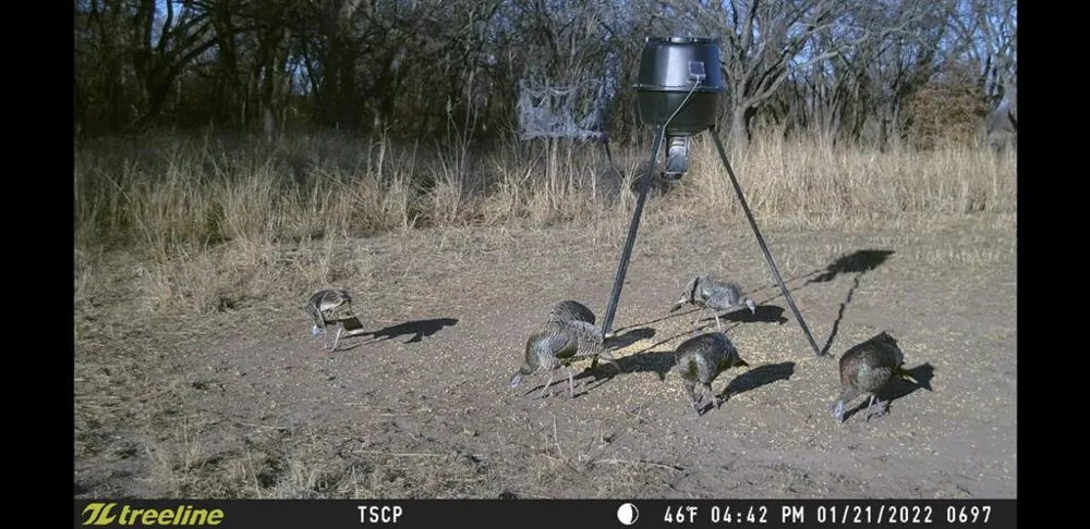 County Road 226 Rising Star, TX 76471