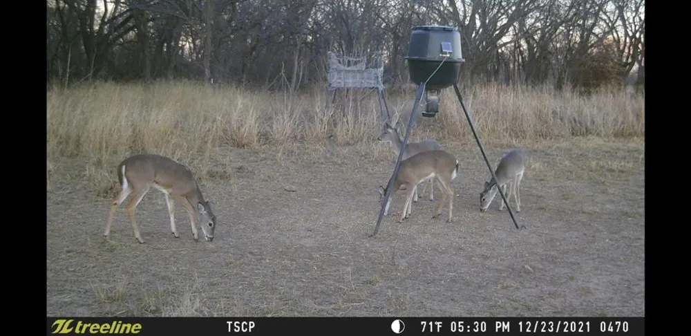 County Road 226 Rising Star, TX 76471