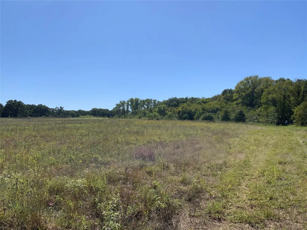 County Road 226 Rising Star, TX 76471