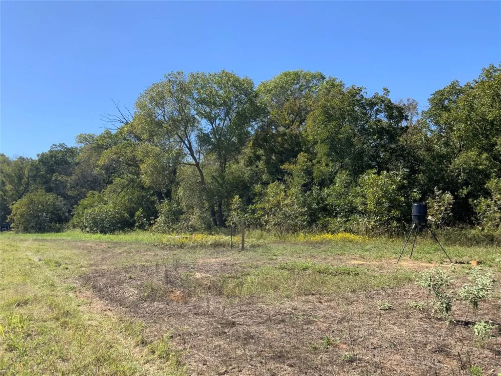 County Road 226 Rising Star, TX 76471