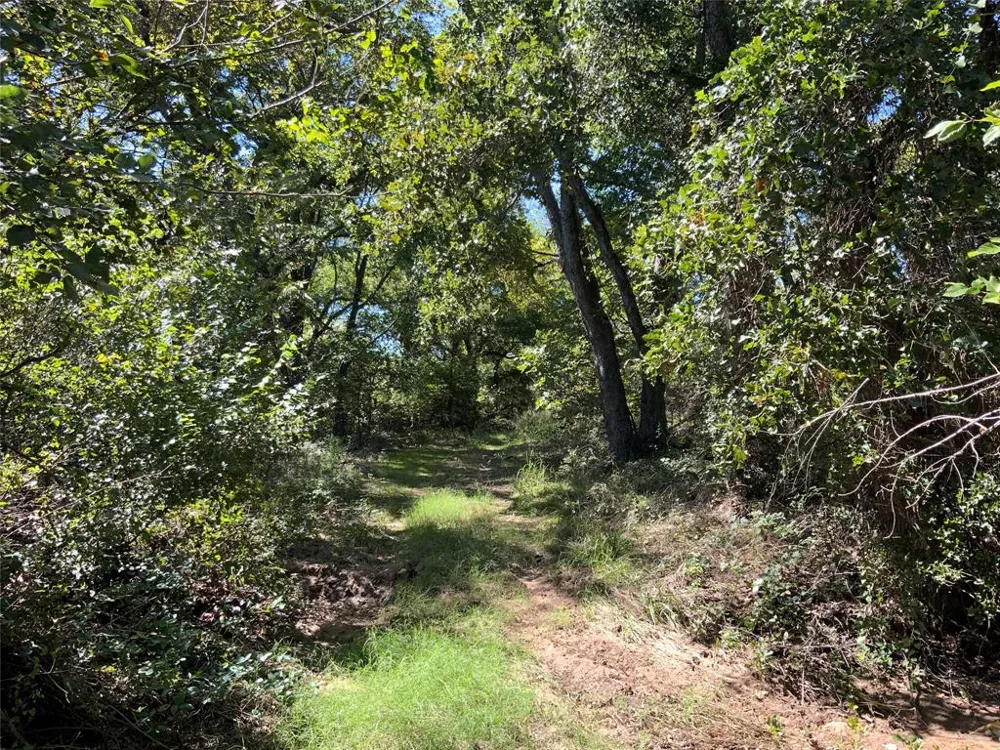 County Road 226 Rising Star, TX 76471
