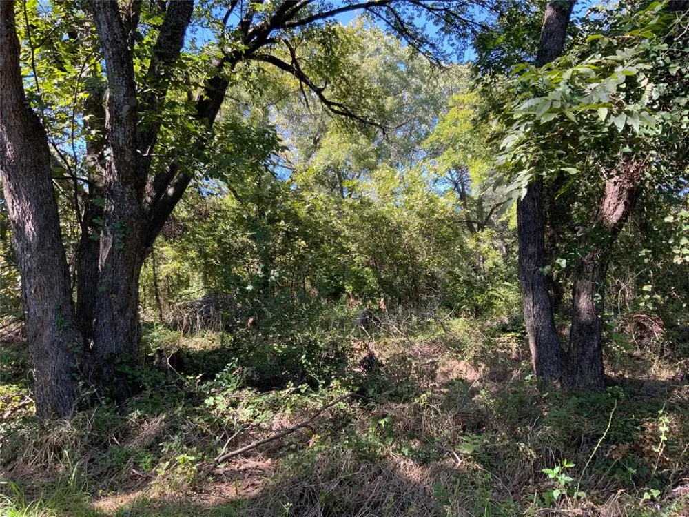 County Road 226 Rising Star, TX 76471