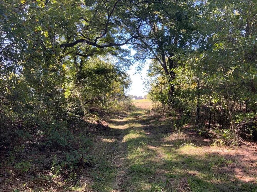 County Road 226 Rising Star, TX 76471