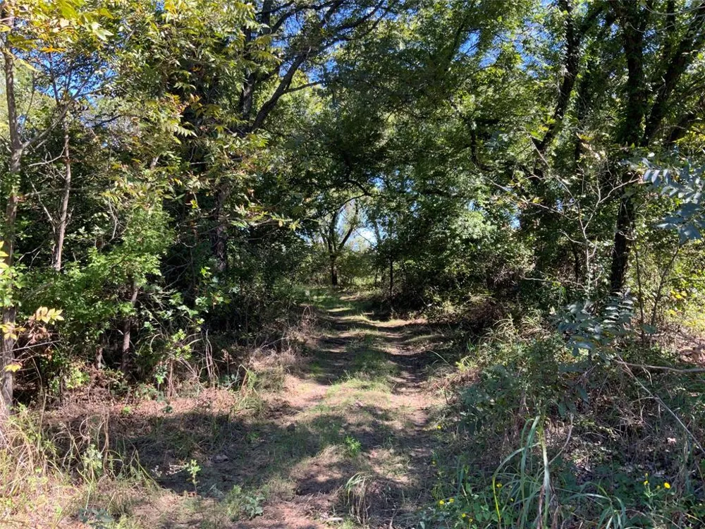 County Road 226 Rising Star, TX 76471