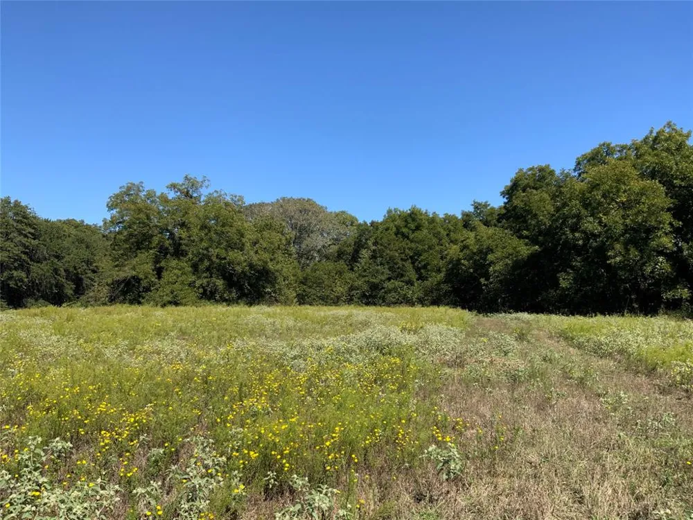 County Road 226 Rising Star, TX 76471