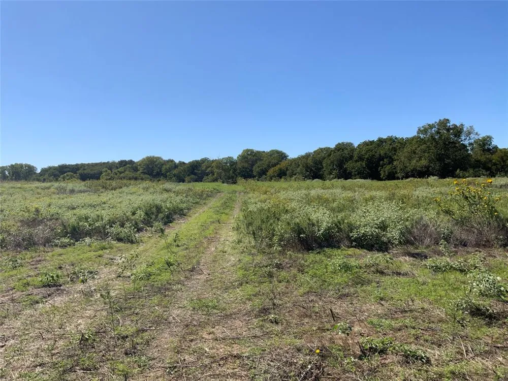 County Road 226 Rising Star, TX 76471