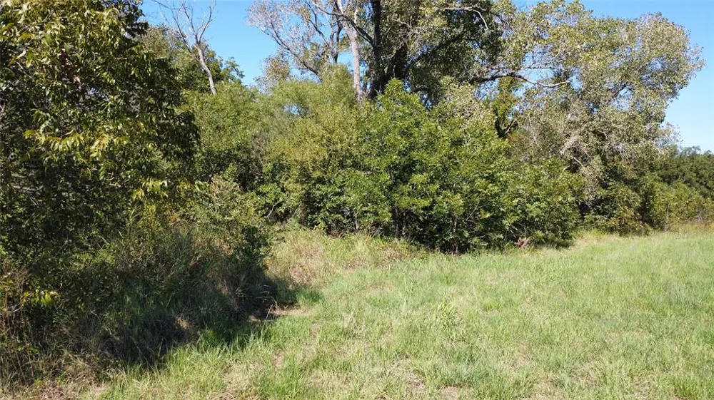 County Road 226 Rising Star, TX 76471