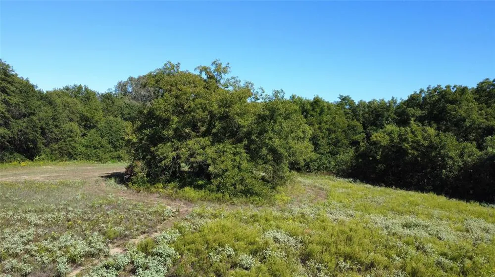County Road 226 Rising Star, TX 76471