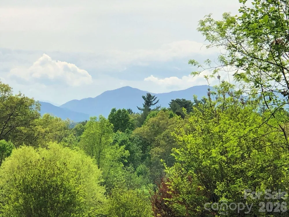 66 HawTree Court #266 Weaverville, NC 28787