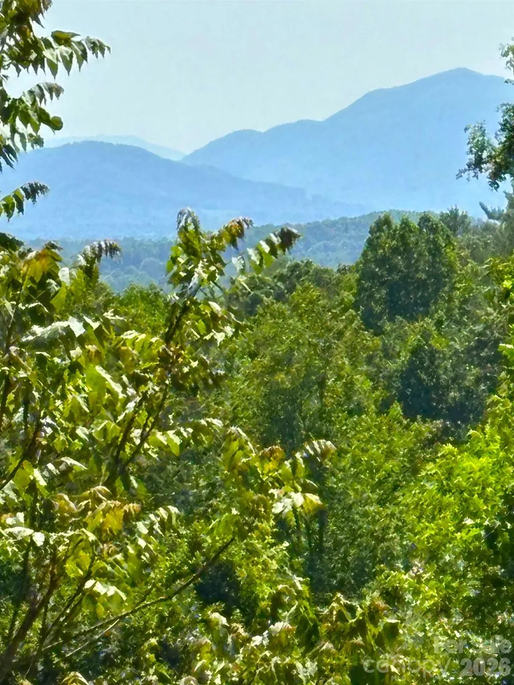 66 HawTree Court #266 Weaverville, NC 28787