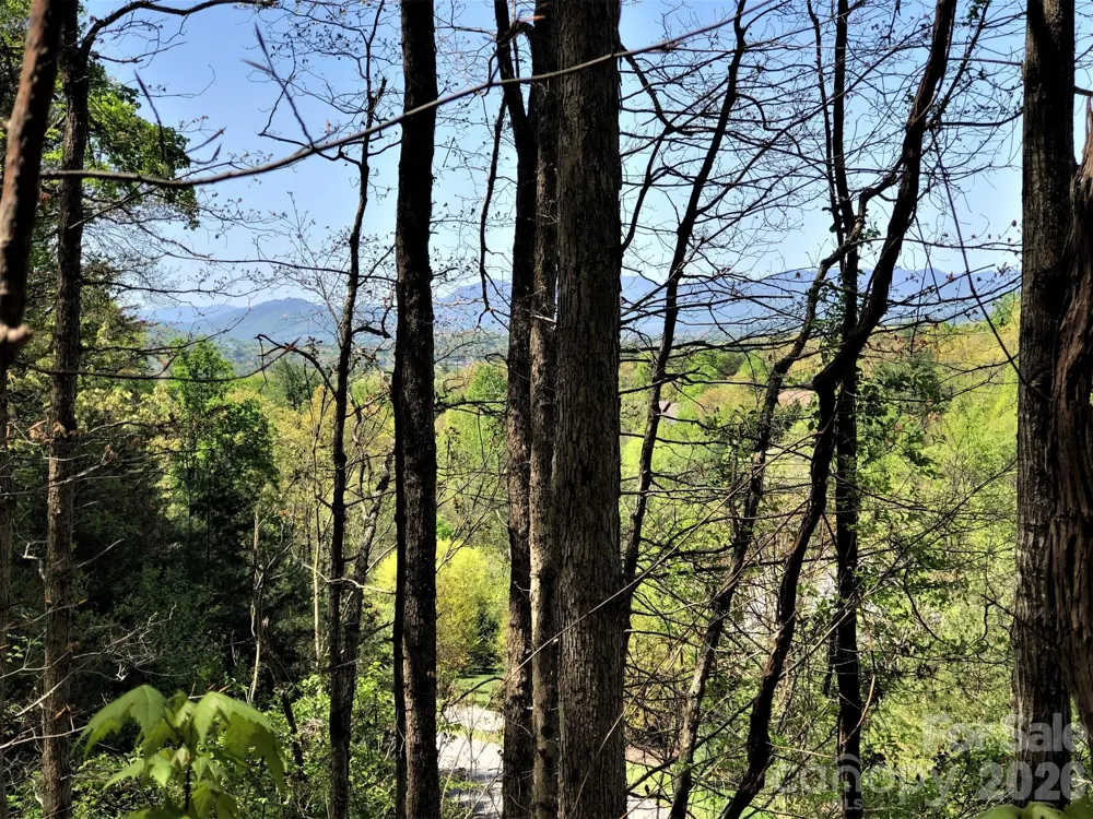 66 HawTree Court #266 Weaverville, NC 28787