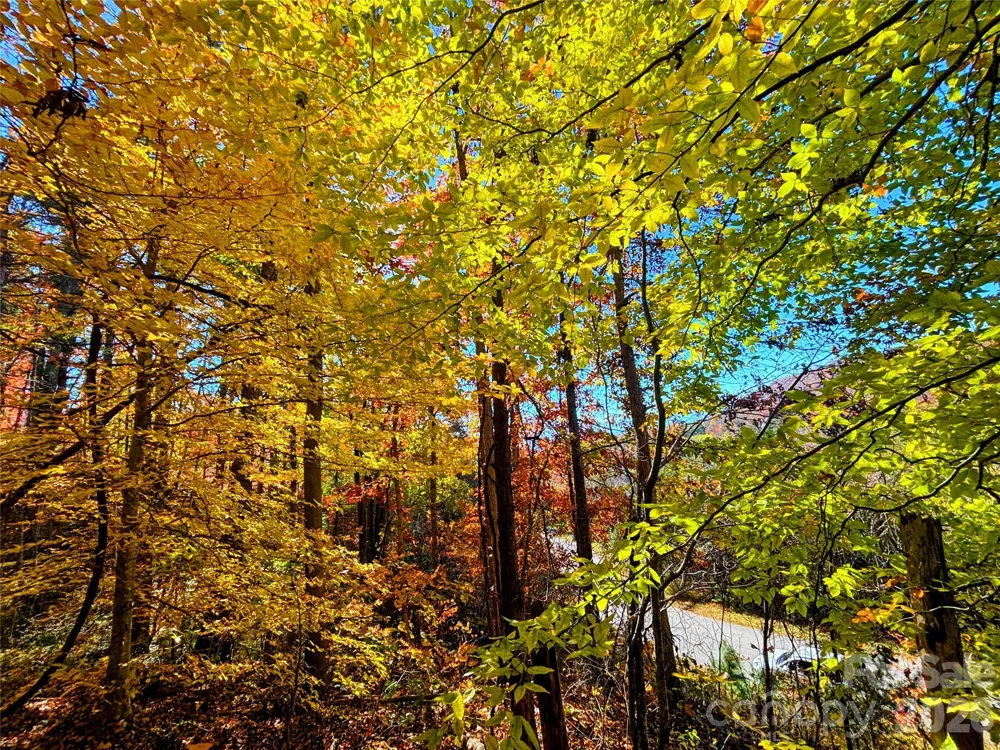 66 HawTree Court #266 Weaverville, NC 28787