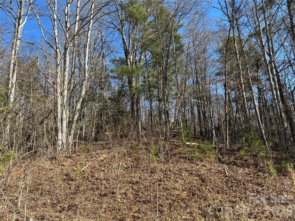 66 HawTree Court #266 Weaverville, NC 28787