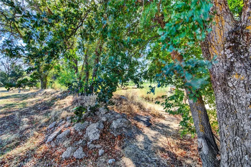 TOOMES Corning, CA 96021