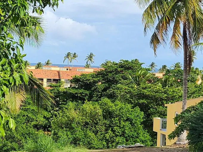 Monte Carlo SE MONTE CARLO VIEWS #228-229 Humacao, PR 00791