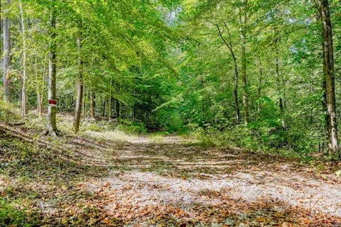0 Bolestown Loop Lot 1