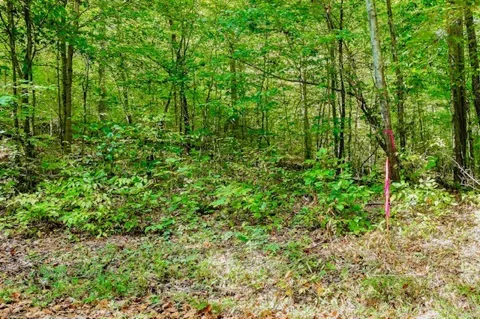 0 Bolestown Loop Lot 2