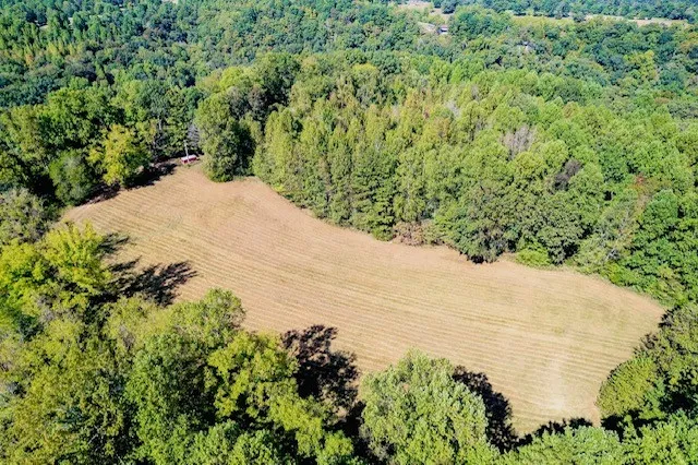 0 Bolestown Loop Alpine, TN 38543