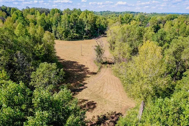 0 Bolestown Loop Alpine, TN 38543