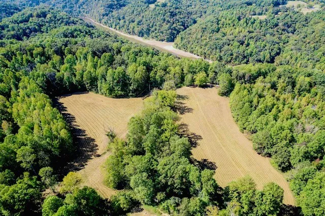 0 Bolestown Loop Alpine, TN 38543
