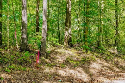 0 Bolestown Loop Lot 3