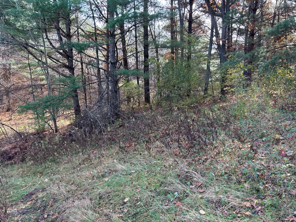 1888 80th Street Somerset, WI 54025